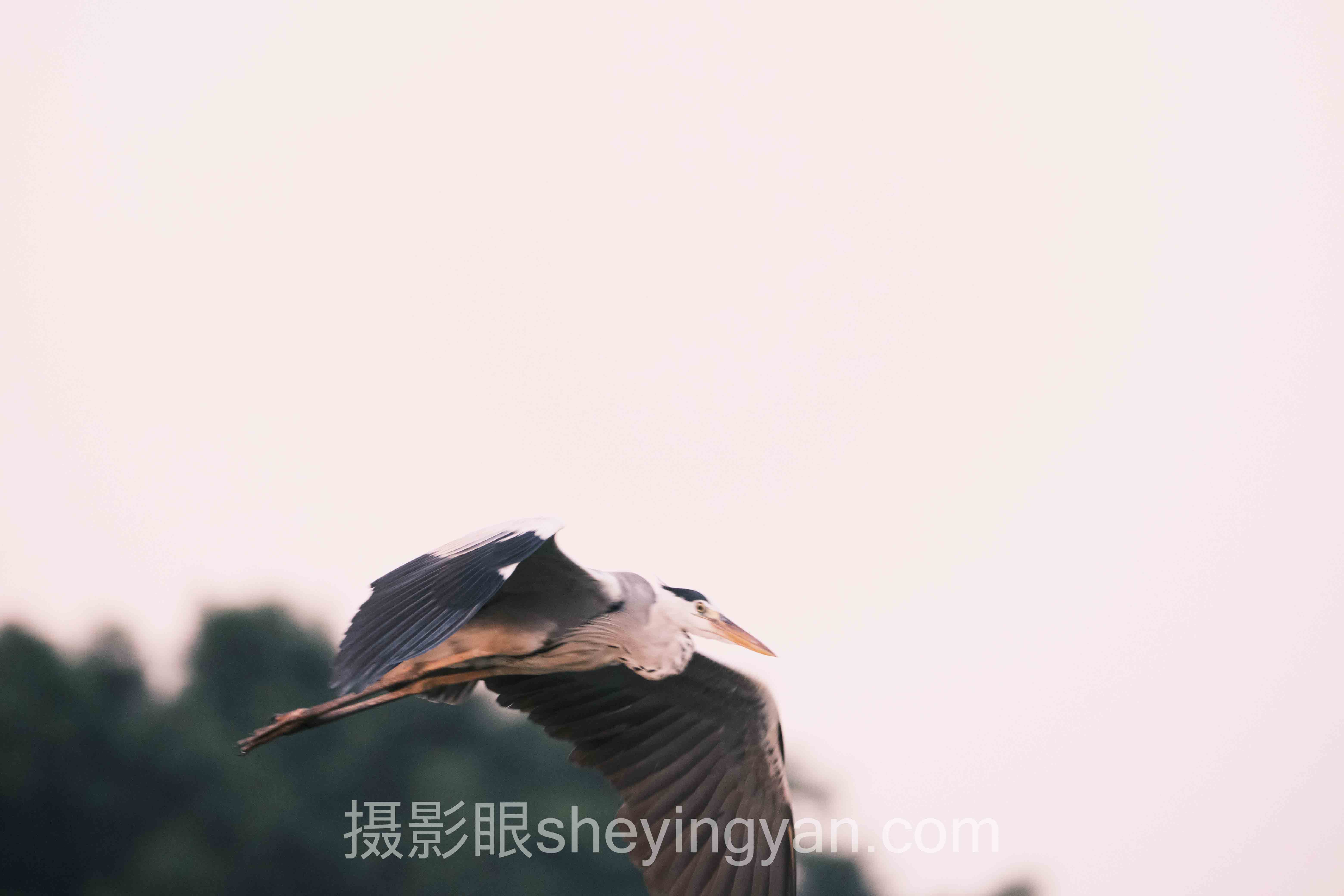 2025相机拍照性价比排行榜：3个实战案例拆解