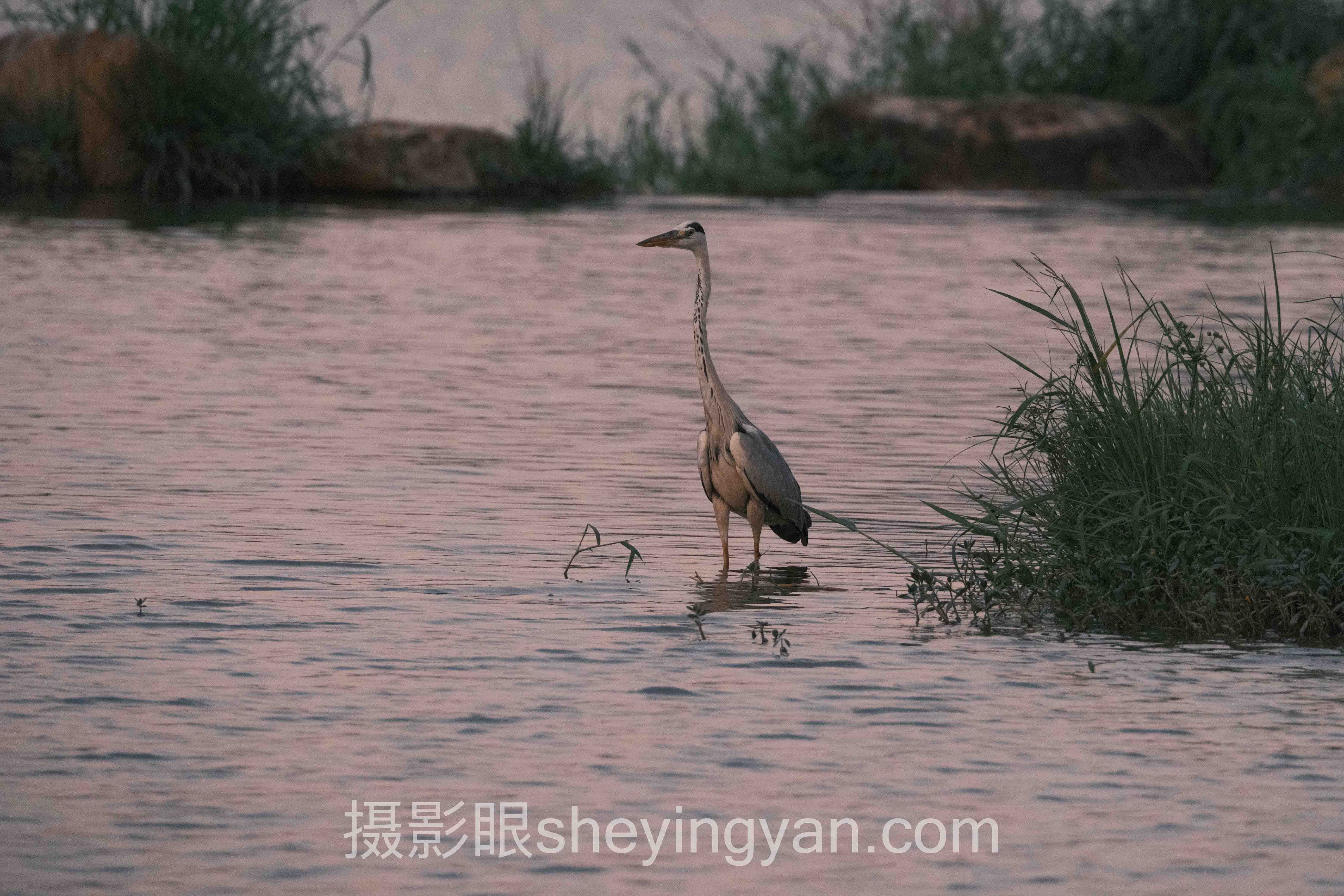 摄影眼网站入口下载全景解读：问题根源与破局之道