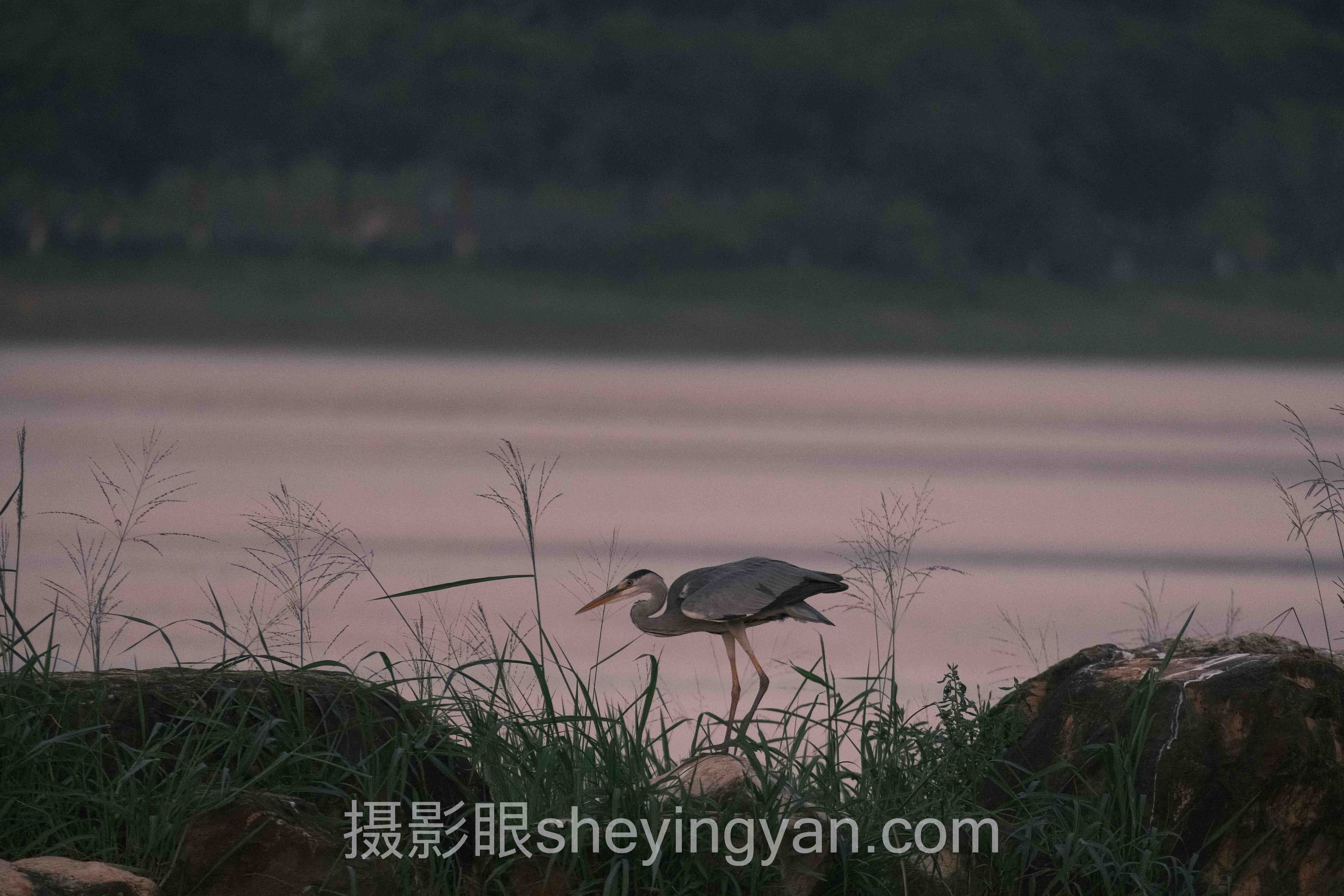 摄影眼官网sheyingyan.com登录：3个被忽视的入口陷阱