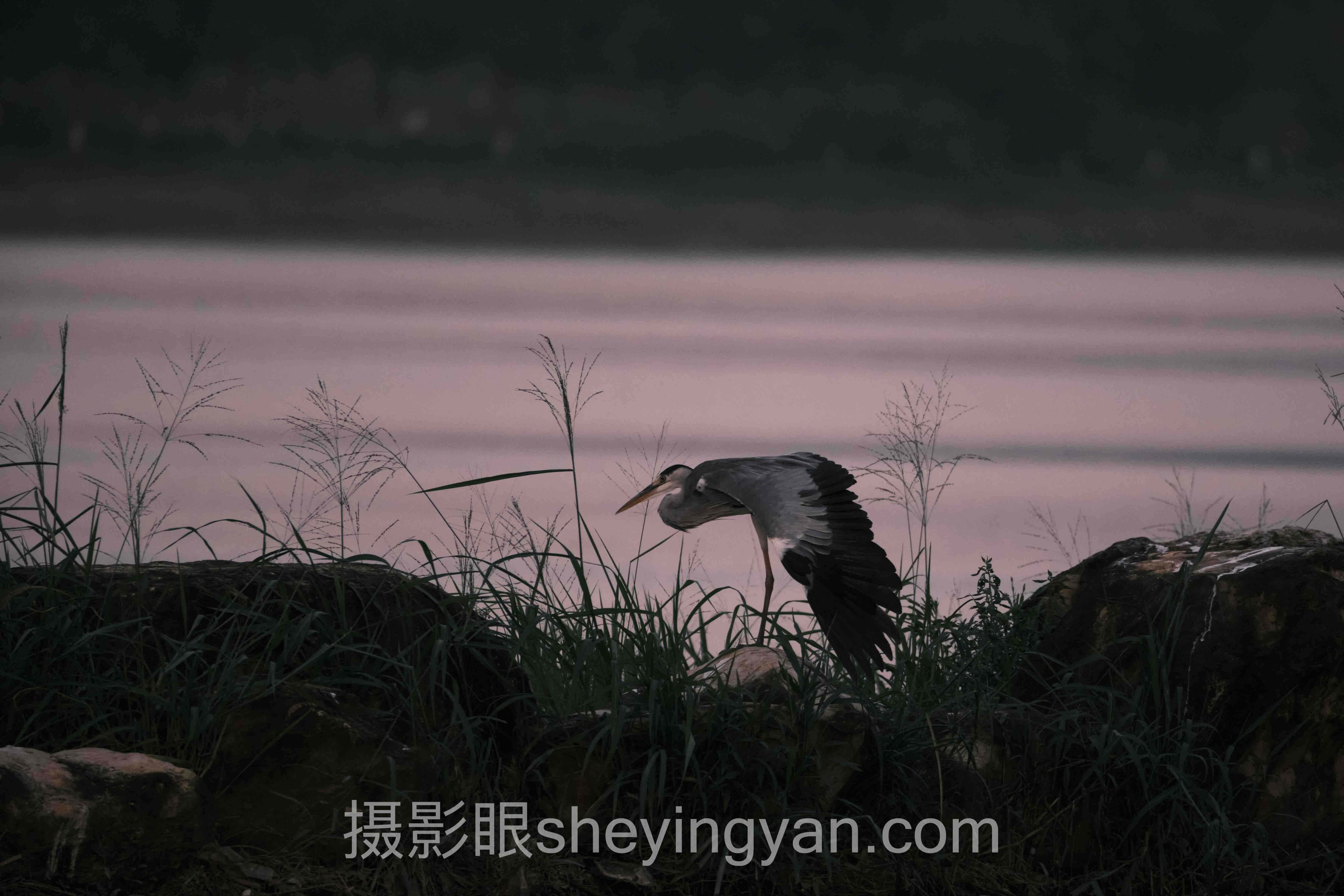 摄影眼官方网站登录