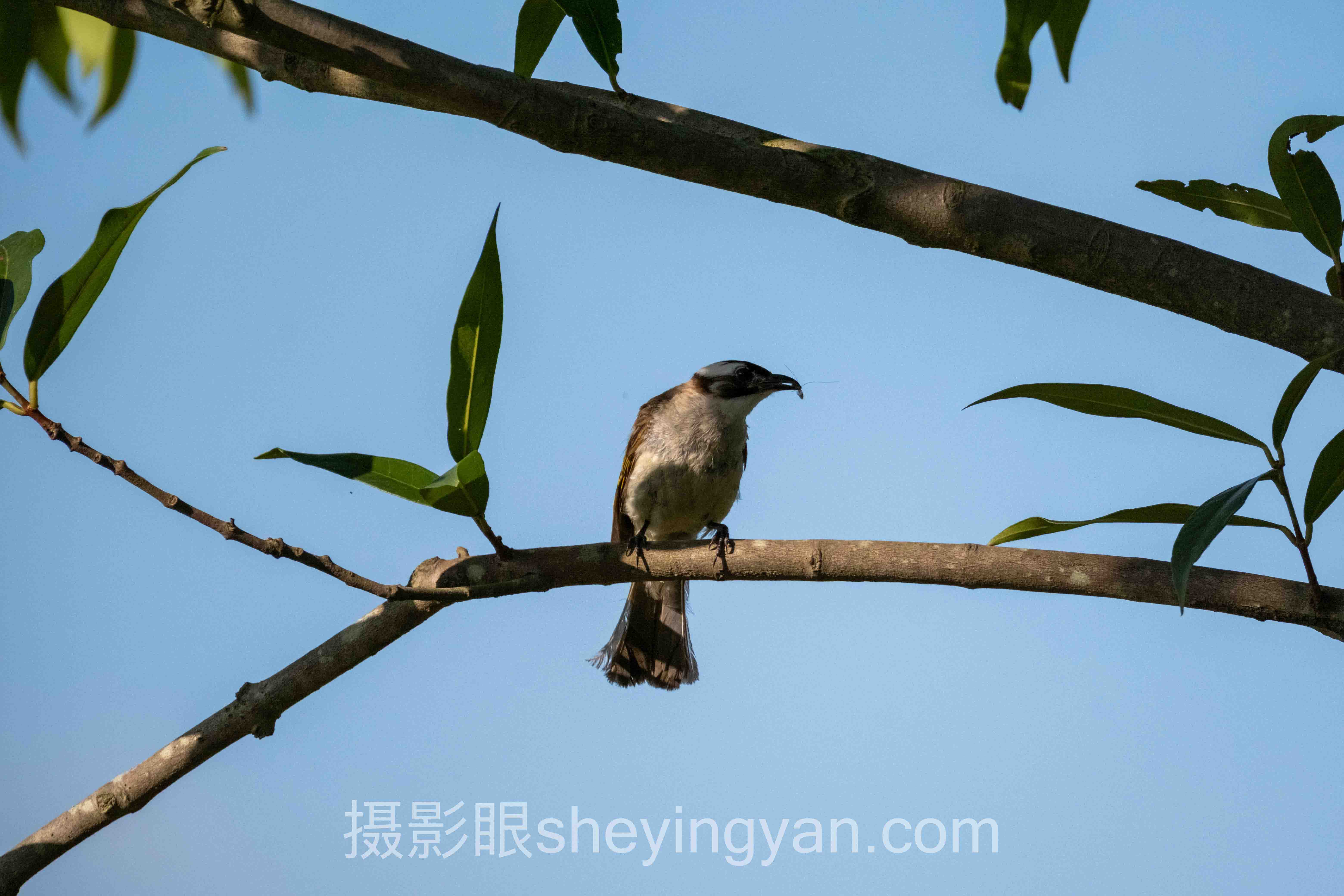 人像摄影点评实战案例拆解：3个成功实践的共同规律